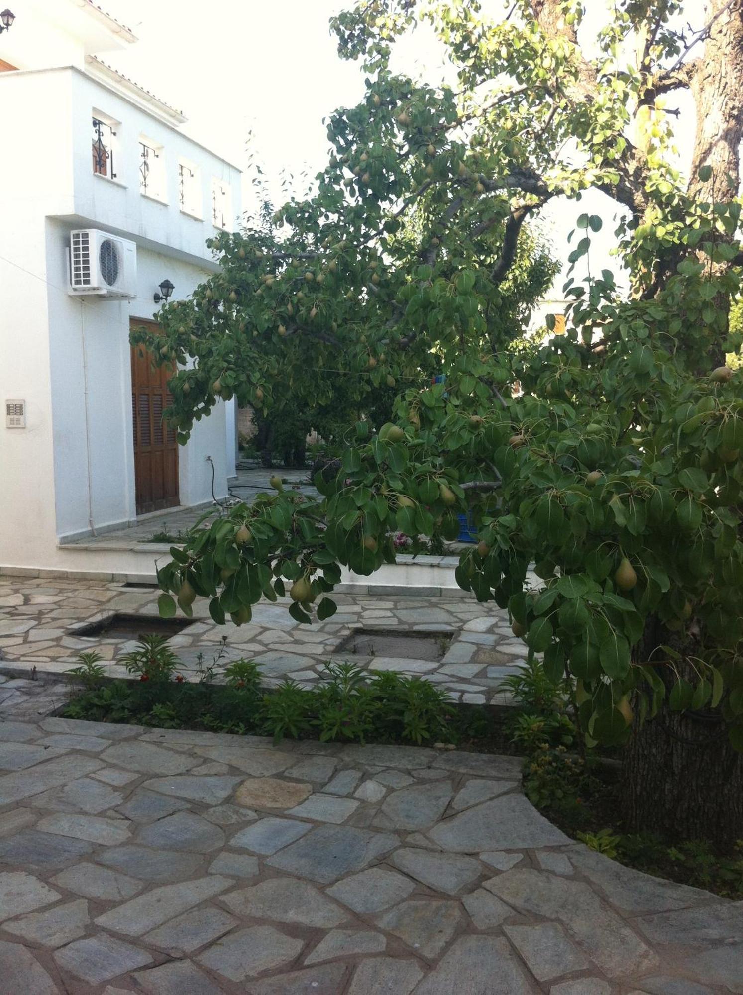 Okeanis Apartments Kala Nera Exterior foto